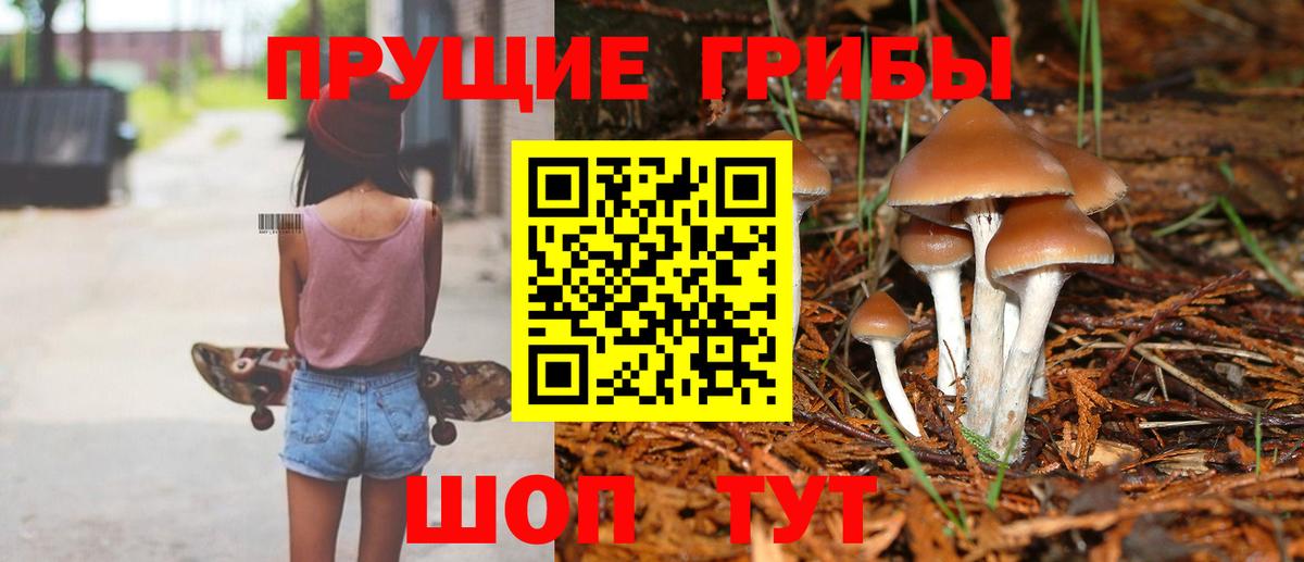 Новокуйбышевск  Галлюциногенные грибы мицелий  Вход с VPN  закладки  Псилоцибиновые грибы MAGIC MUSHROOMS 